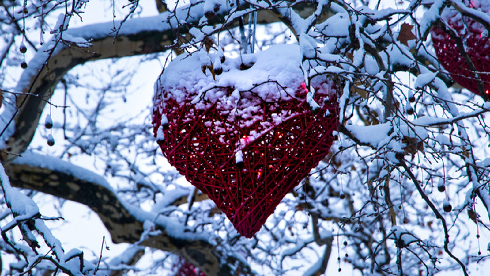 Jul på Kulturen i Lund och Bosjökloster